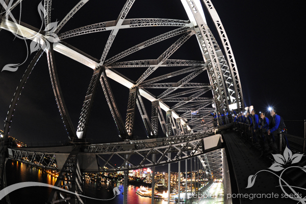 Photograph supplied by BridgeClimb Sydney