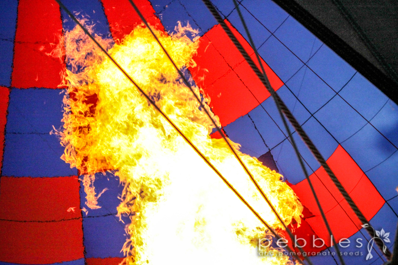 hot_air_balloon_queenstown26