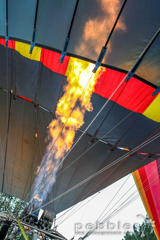 hot_air_balloon_queenstown41