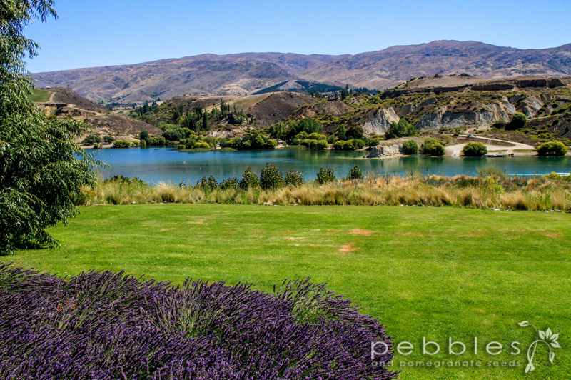 top-10-queenstown14