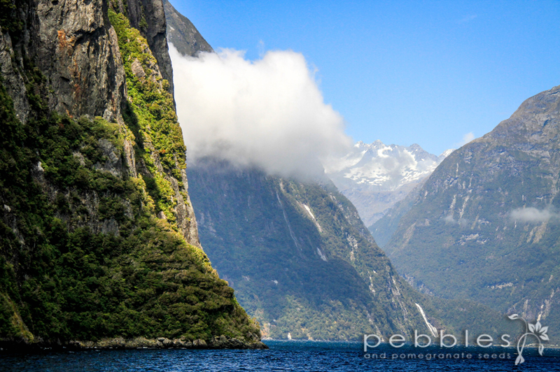 top-10-queenstown7