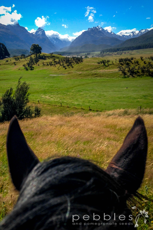 top-10-queenstown8