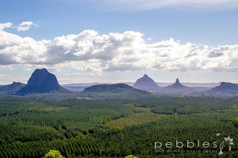 glass-house-mountains10
