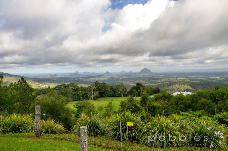 glass-house-mountains3
