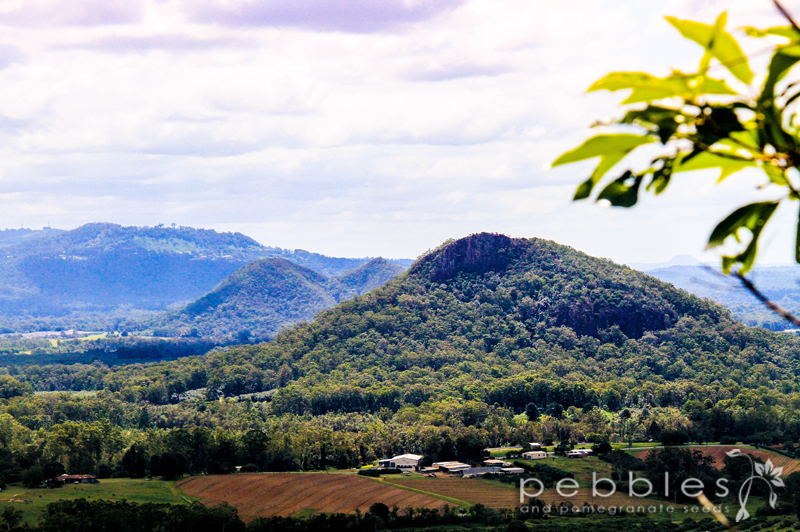 glass-house-mountains8