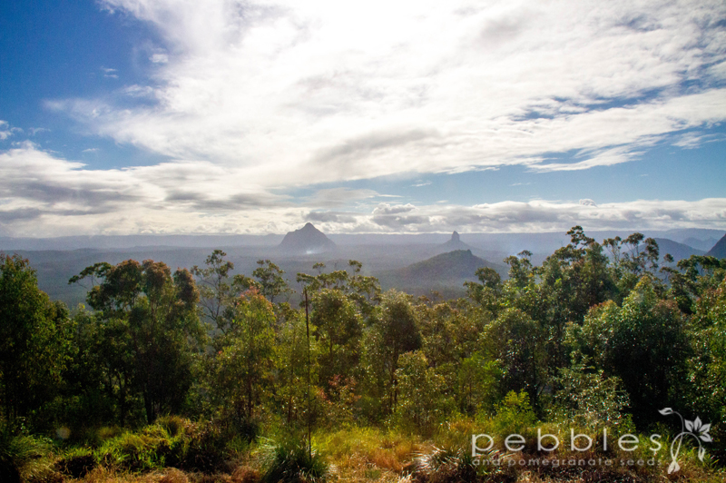 mt-beerburrum4