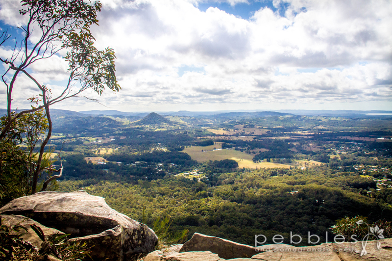 mt-cooroora