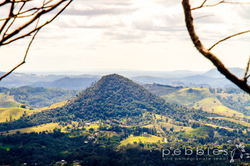 mt-cooroora10