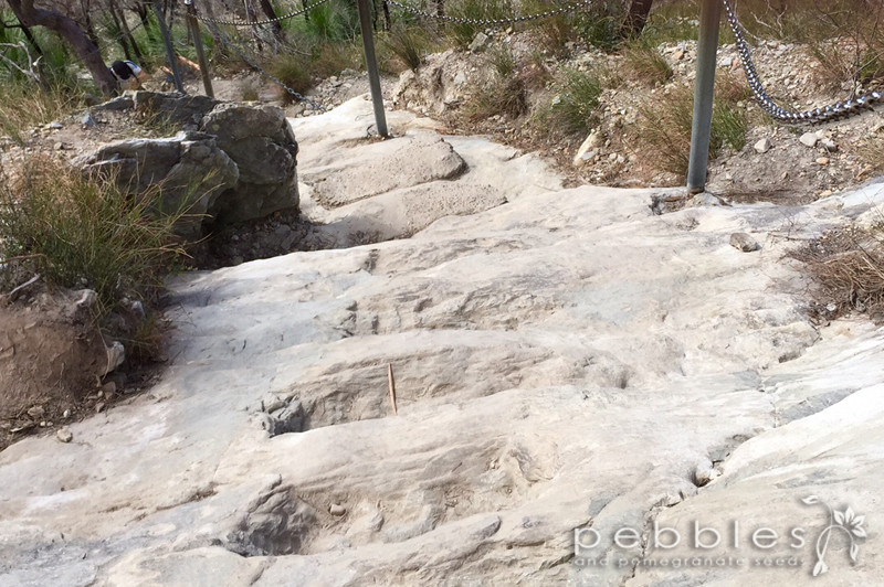 mt-cooroora14