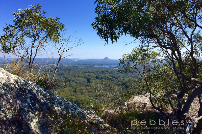 mt-tinbeerwah1