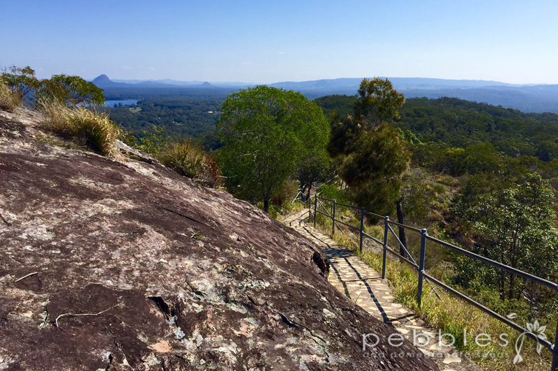 mt-tinbeerwah2