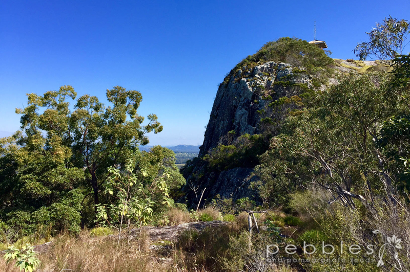 mt-tinbeerwah9