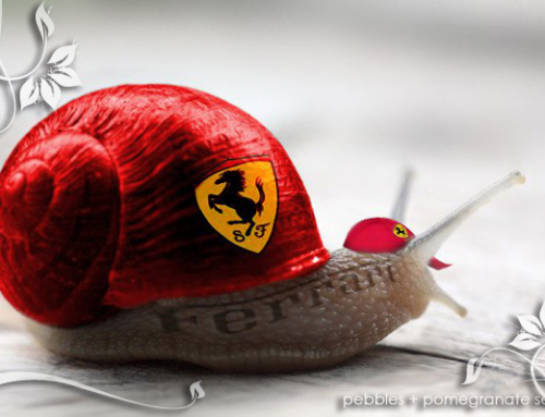 My love affair with snails…