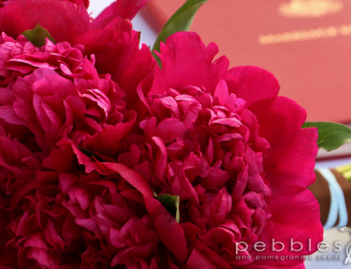 Peonies… the most beautiful wedding flower of them all!